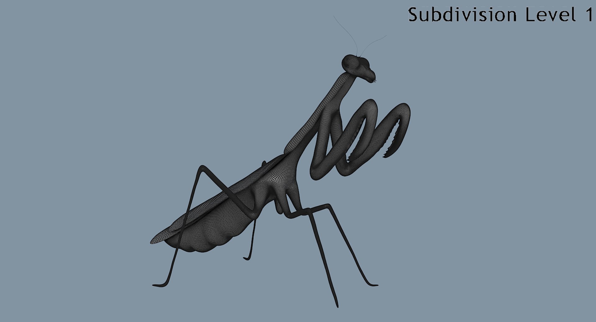 Mantis 3D Model - TurboSquid 1275750
