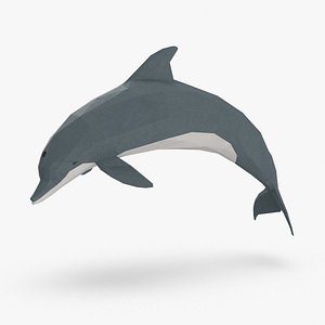 Dolphin Jumping