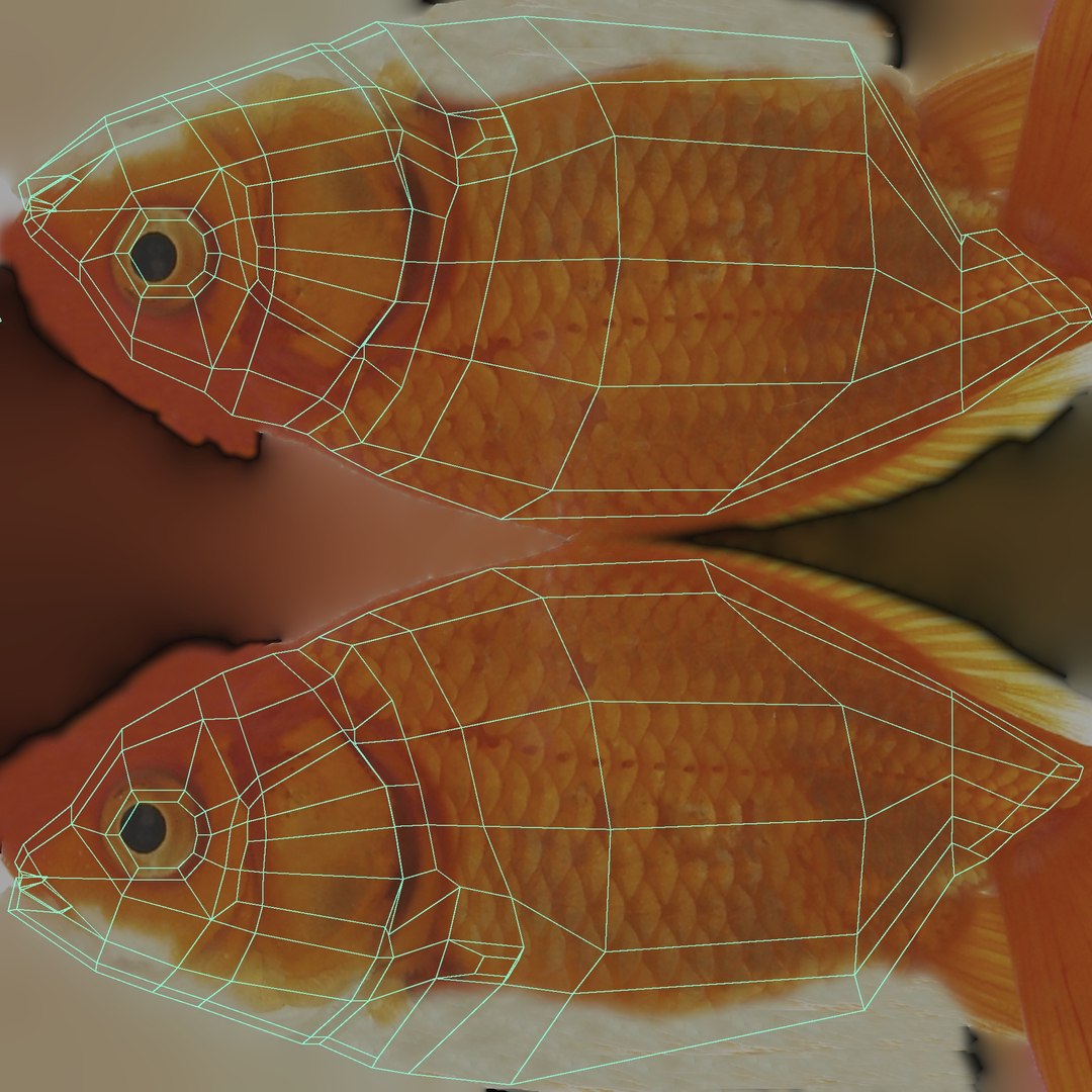 3D Red Goldfish - Static PBR https://p.turbosquid.com/ts-thumb/5U/BCkS1R/8e/11_goldfishredstatic_11_uv/jpg/1791930619/1920x1080/fit_q87/dd1649dec4c5faadc0b1431baeedfc978d24123b/11_goldfishredstatic_11_uv.jpg