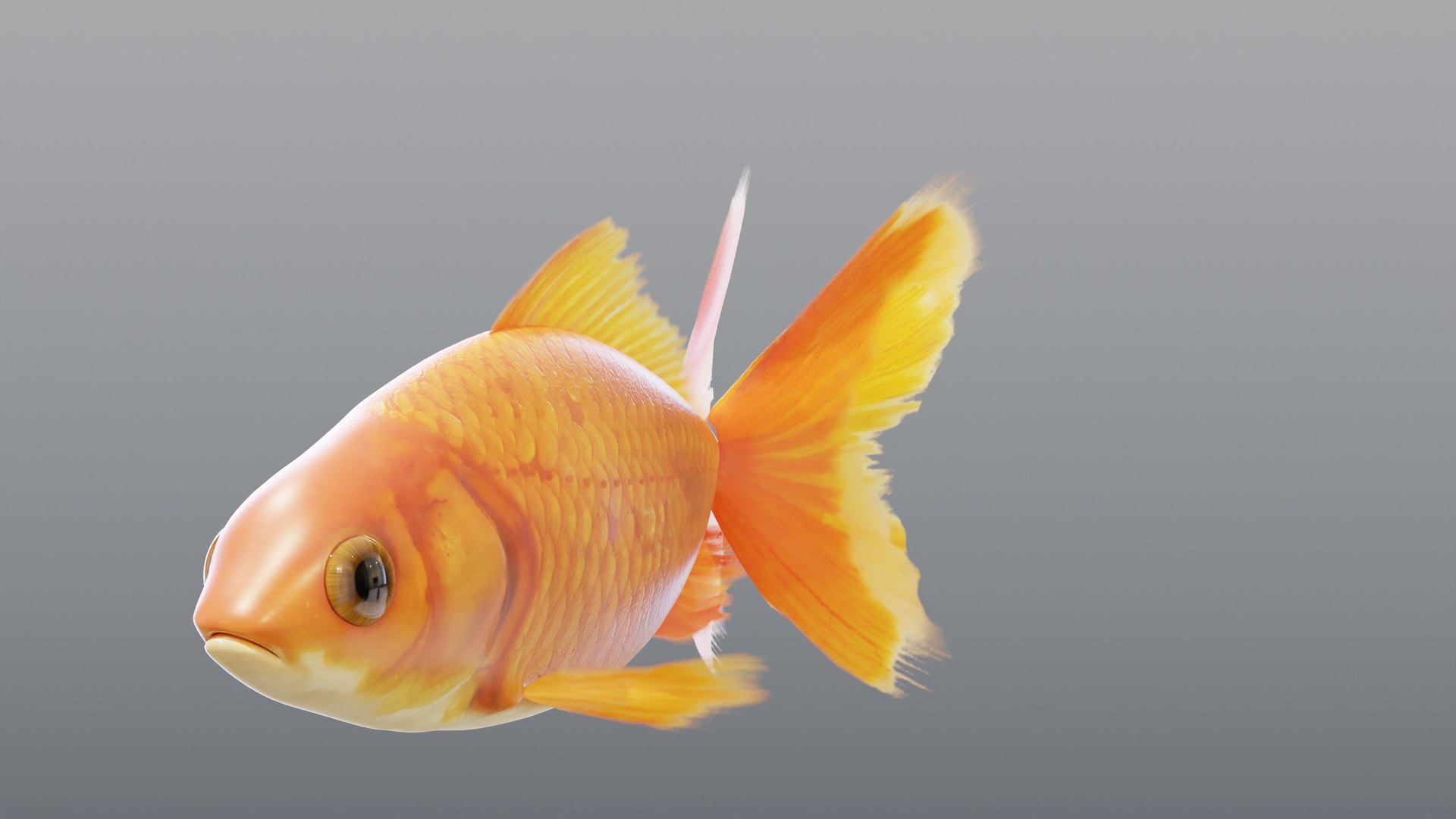 3D Red Goldfish - Static PBR https://p.turbosquid.com/ts-thumb/5U/BCkS1R/W7/05_goldfishredstatic_05_front/jpg/1791930560/1920x1080/fit_q87/c93cf548d2f26a95878bd7f23129d65bd6eab095/05_goldfishredstatic_05_front.jpg