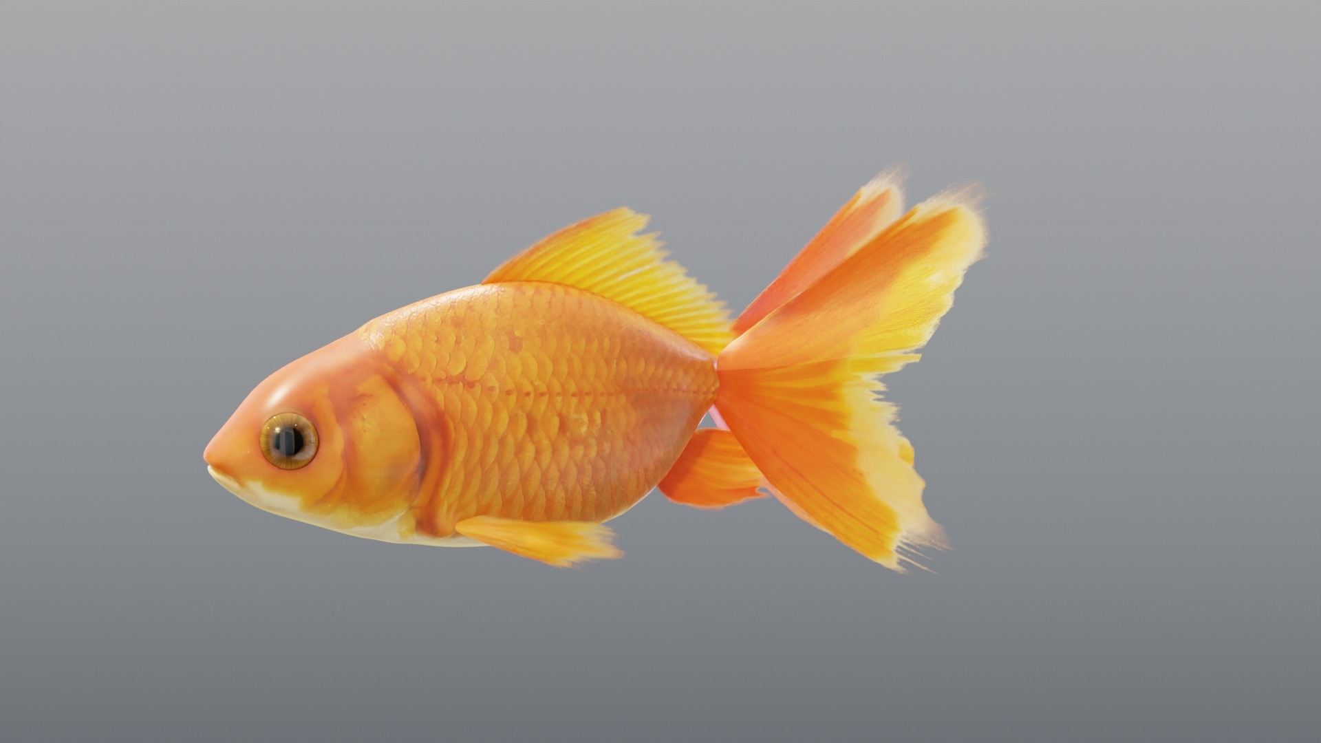 3D Red Goldfish - Static PBR https://p.turbosquid.com/ts-thumb/5U/BCkS1R/c8/goldfishredstatic_turntable/jpg/1791930638/1920x1080/turn_fit_q99/0177cb849f773eb7b7f68c917a4317c21c83a248/goldfishredstatic_turntable-1.jpg