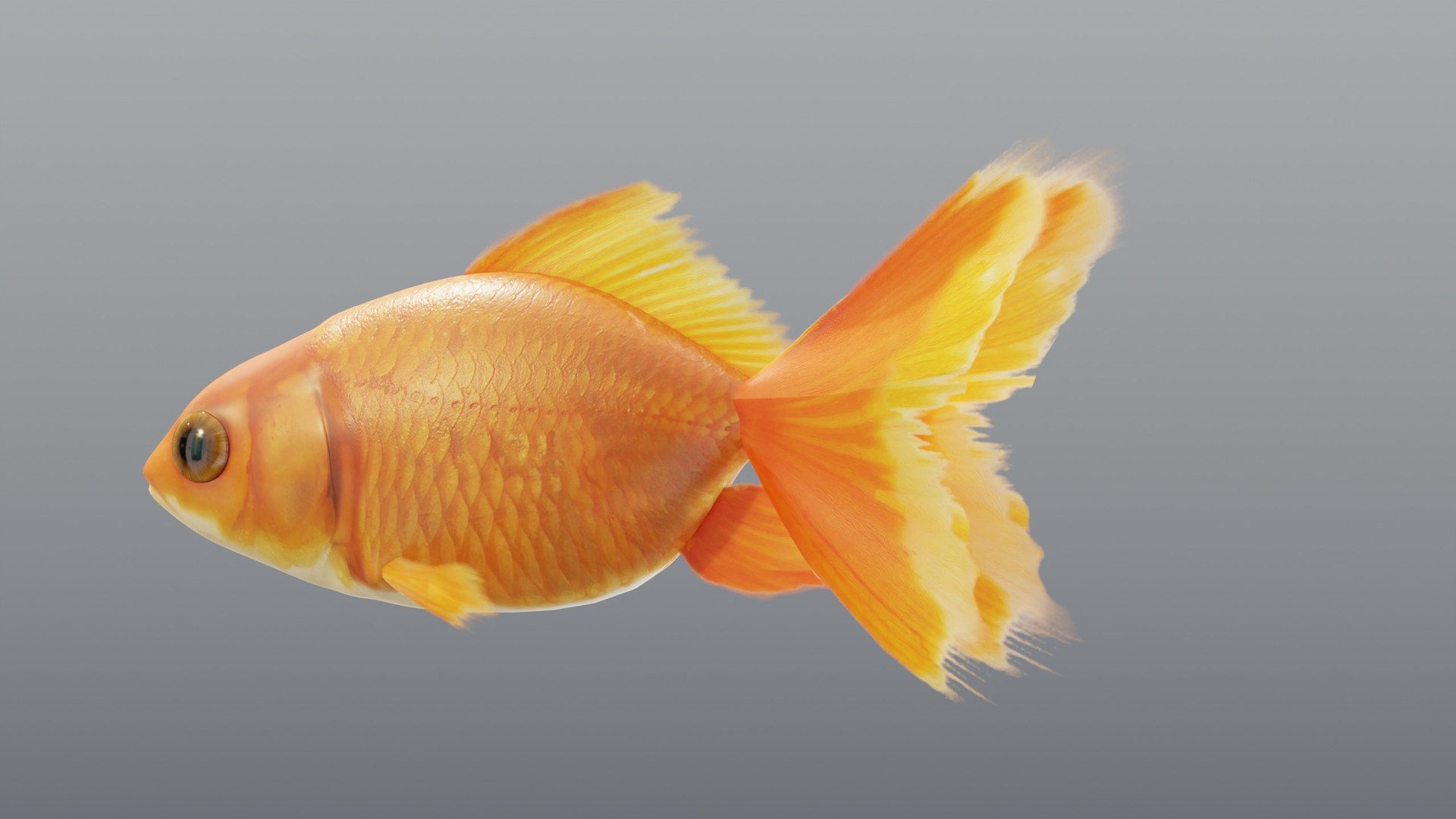 3D Red Goldfish - Static PBR https://p.turbosquid.com/ts-thumb/5U/BCkS1R/eq/03_goldfishredstatic_03_side/jpg/1791930537/1920x1080/fit_q87/c9007f2e546cae38b98ddb2a1bd893ec86a5572a/03_goldfishredstatic_03_side.jpg