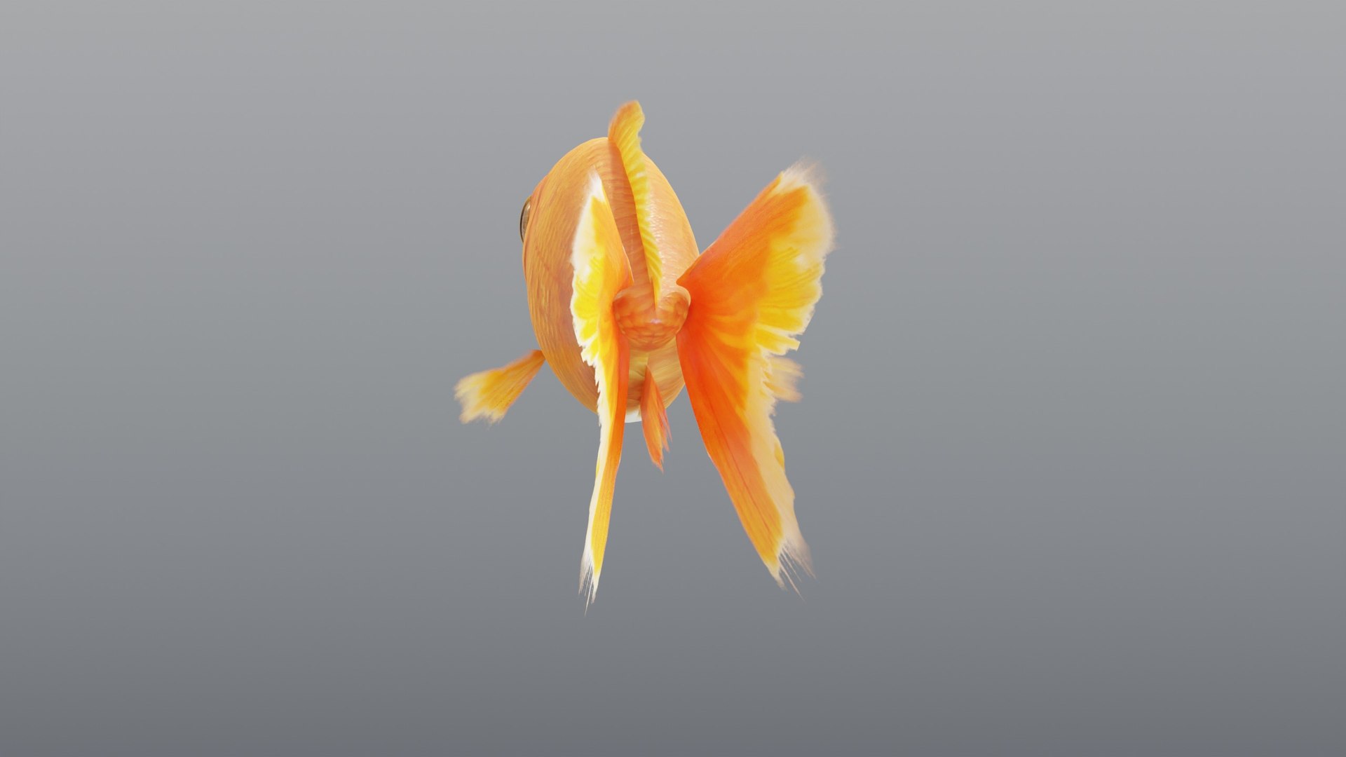3D Red Goldfish - Static PBR https://p.turbosquid.com/ts-thumb/5U/BCkS1R/ws/06_goldfishredstatic_06_rear/jpg/1791930570/1920x1080/fit_q87/496816b11e1c3be89c9a06268e05d1c52c37105a/06_goldfishredstatic_06_rear.jpg