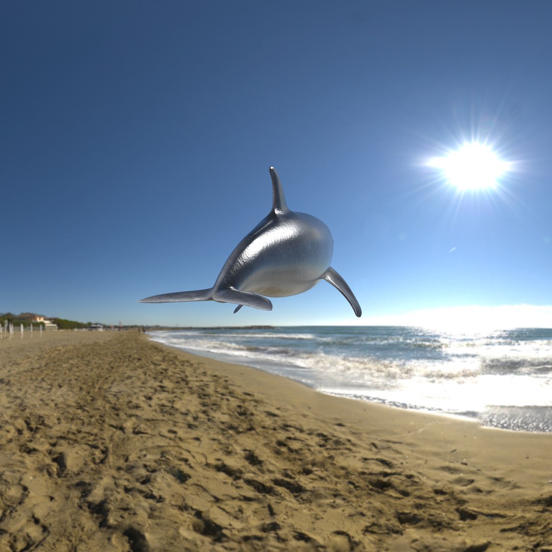 3D model bottlenose dolphin https://p.turbosquid.com/ts-thumb/5U/CIUMEL/1dRD4rrX/image_11/png/1606578960/1920x1080/fit_q87/73c1941f04befd253cde95c6c0e1d2cde20a8e73/image_11.jpg