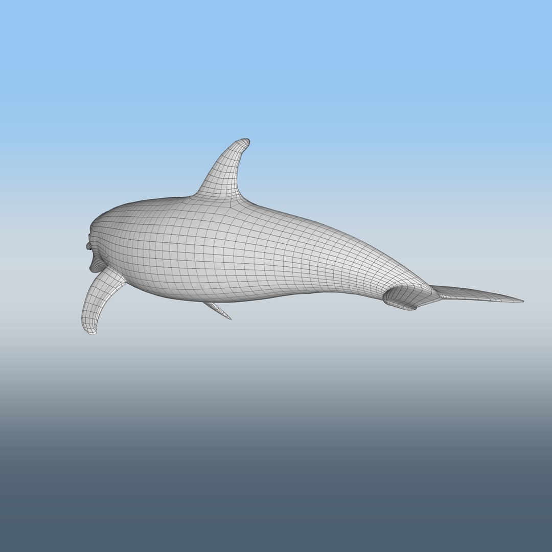 3D model bottlenose dolphin https://p.turbosquid.com/ts-thumb/5U/CIUMEL/768xZPbq/wireframe_back/png/1606586656/1920x1080/fit_q87/7cf5cc8db16ce6b95e41aeef5f7a0084181624ed/wireframe_back.jpg