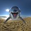dolphin