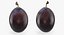 Fruit de prune mûre bleue