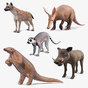 African Mammals Collection 2