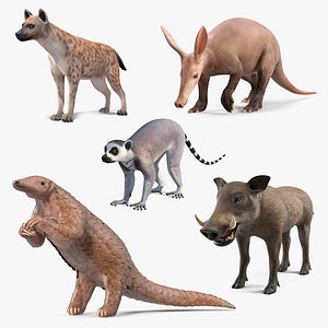 African Mammals Collection 2