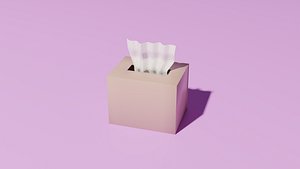 3D Tissue box