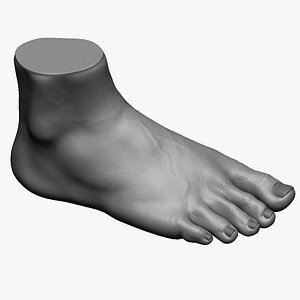 3D model photorealistic male foot zbrush