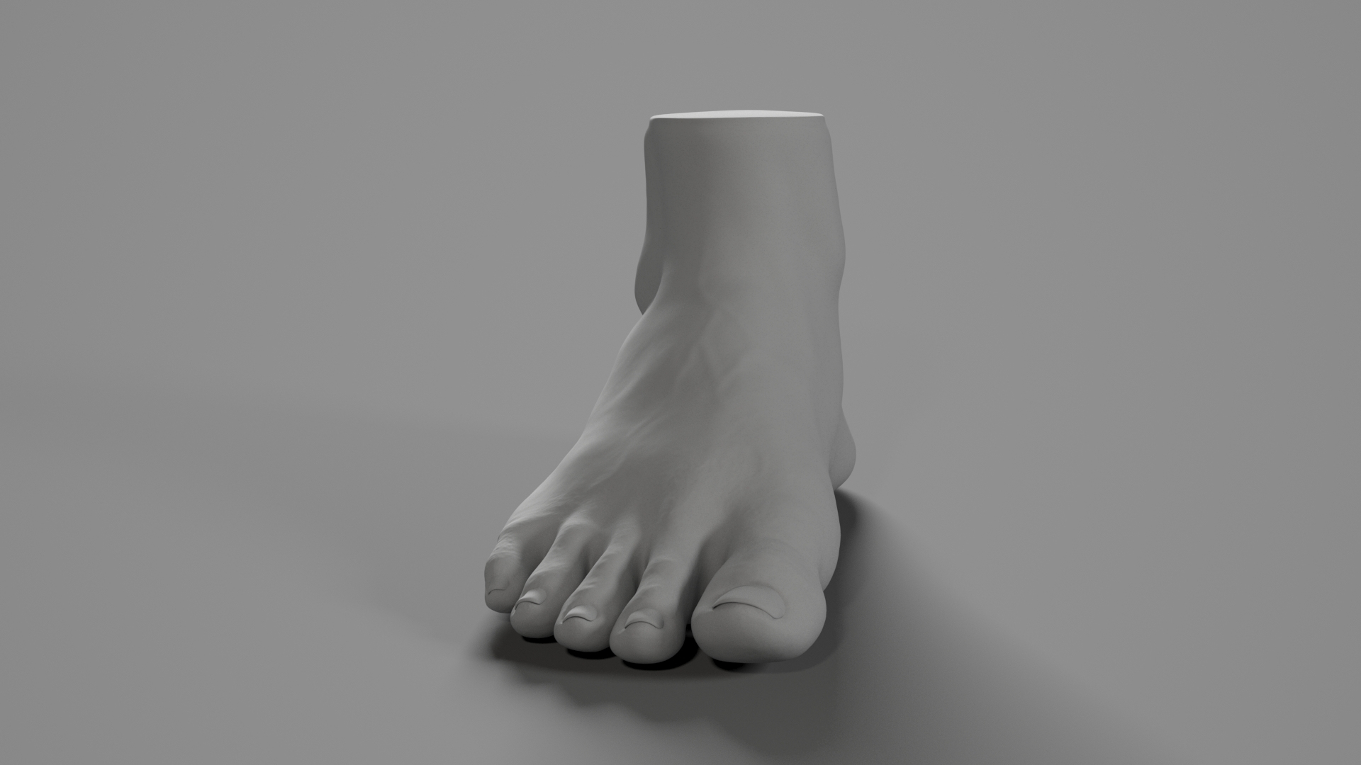 3D model photorealistic male foot zbrush - TurboSquid 1523731