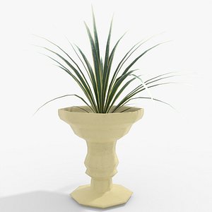 Potted Ribbon Grass