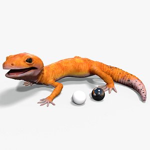 3D lizard