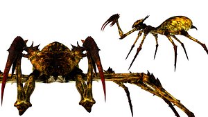 Rigged Monster Spider Horror Fantasy Creature