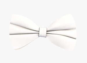 bow tie bowtie 3D