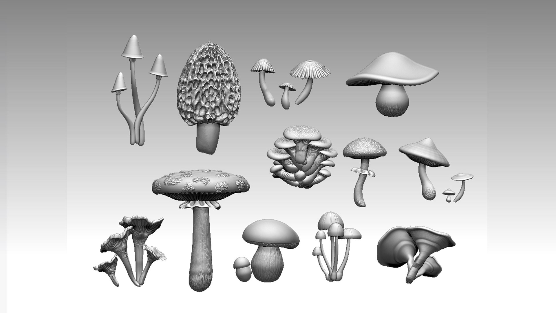 3D Mushrooms Model - TurboSquid 2262619