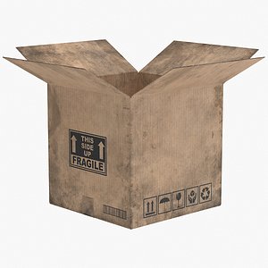 Cardboard Box 1 Worn Open
