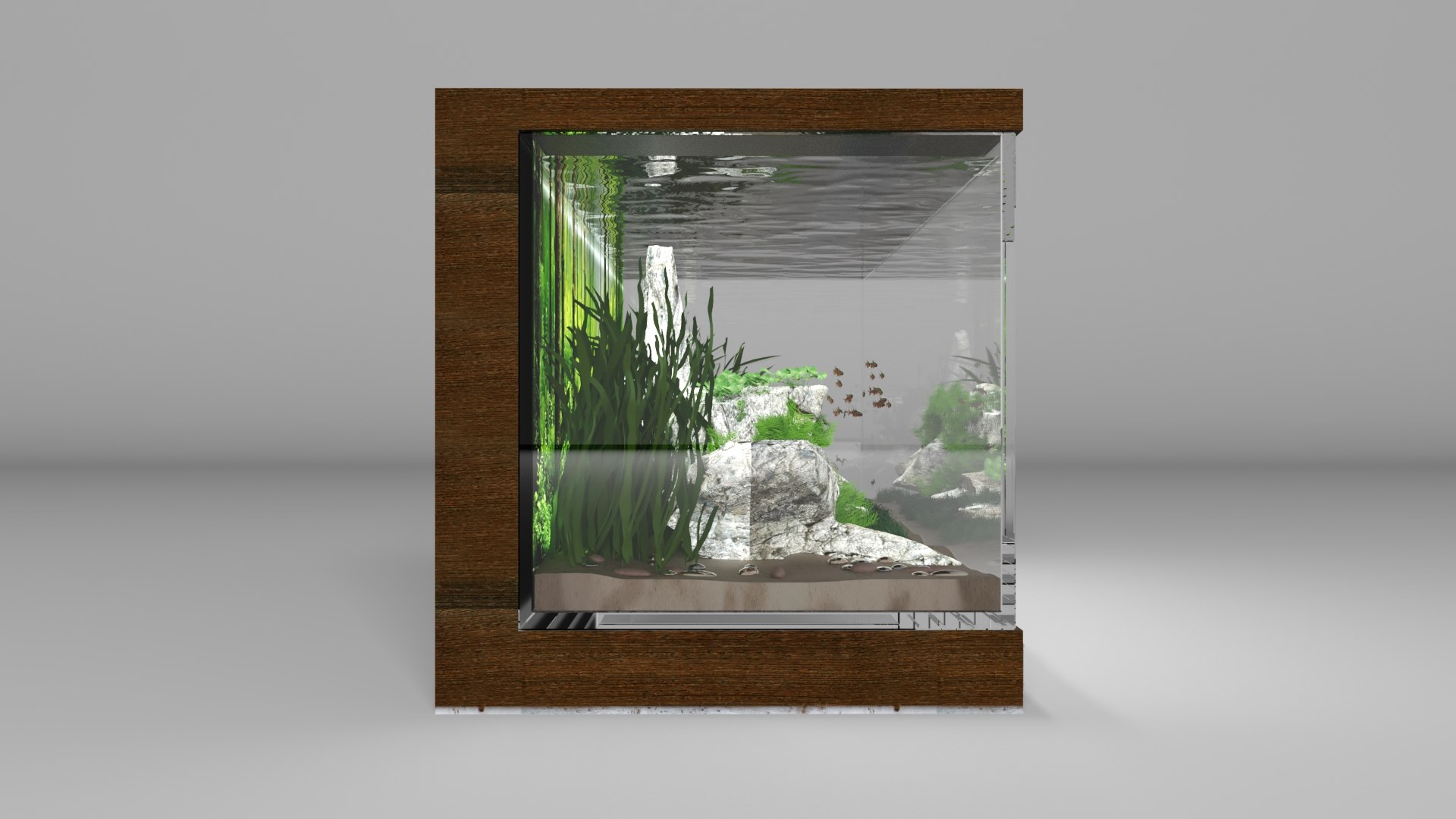 Curated visual reference: Compact Aquarium Across Reference: 3D Compact Home Aquarium Miniature Aquatic Ecosystem Model