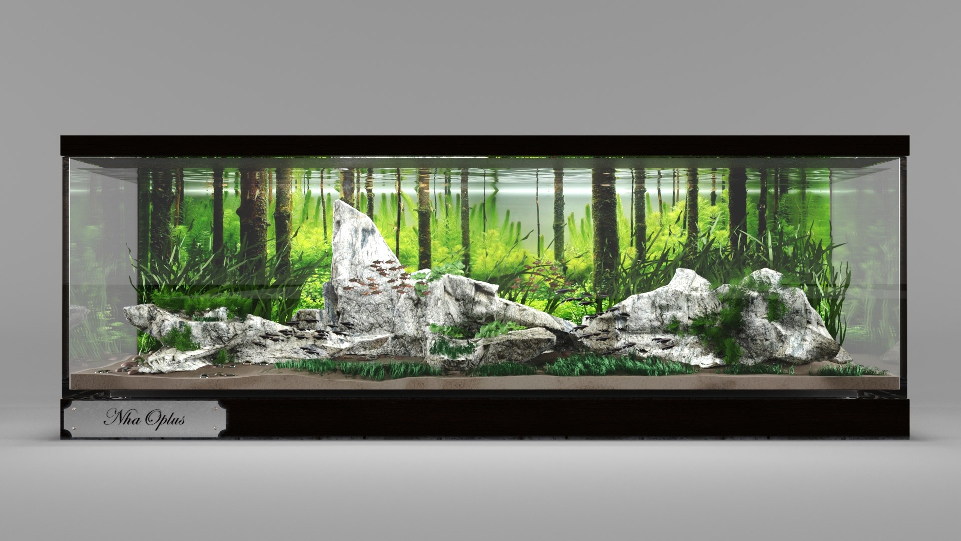 Photo inspiration: Picture Idea: 3D Compact Home Aquarium Miniature Aquatic Ecosystem Model
