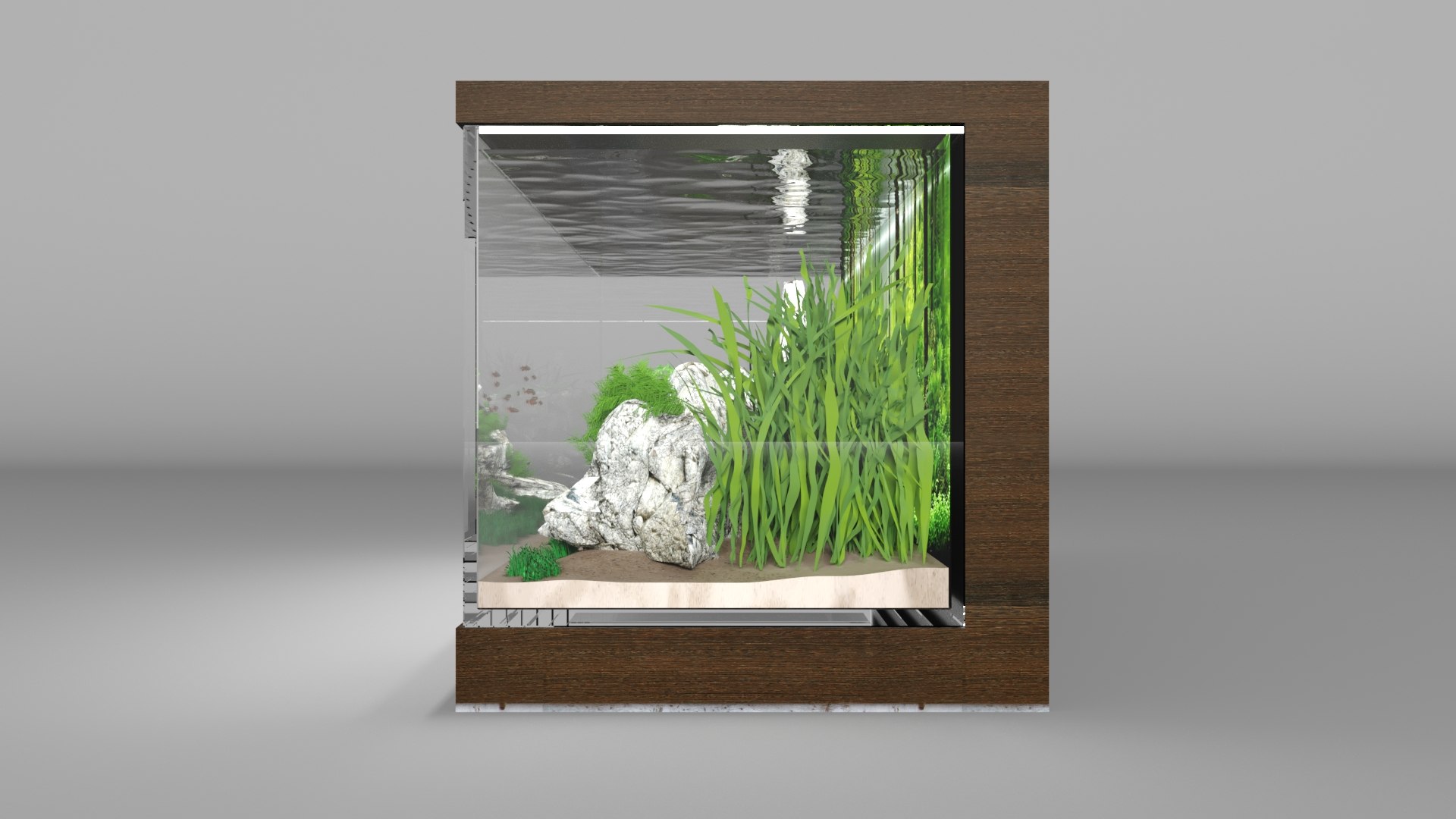 3D Compact Home Aquarium - Miniature Aquatic Ecosystem Model - 3 ... - Compact Aquatic Features