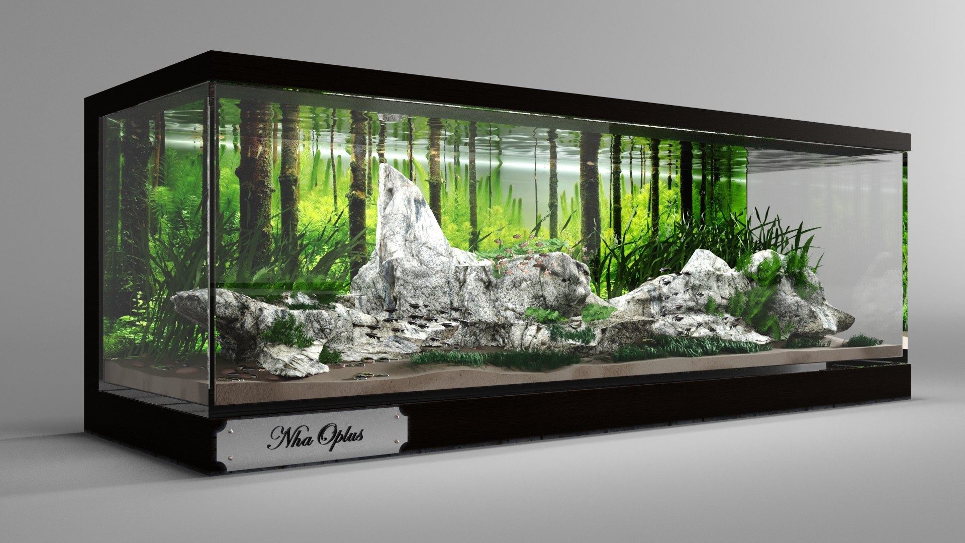 3D Compact Home Aquarium - Miniature Aquatic Ecosystem Model - 3 ...