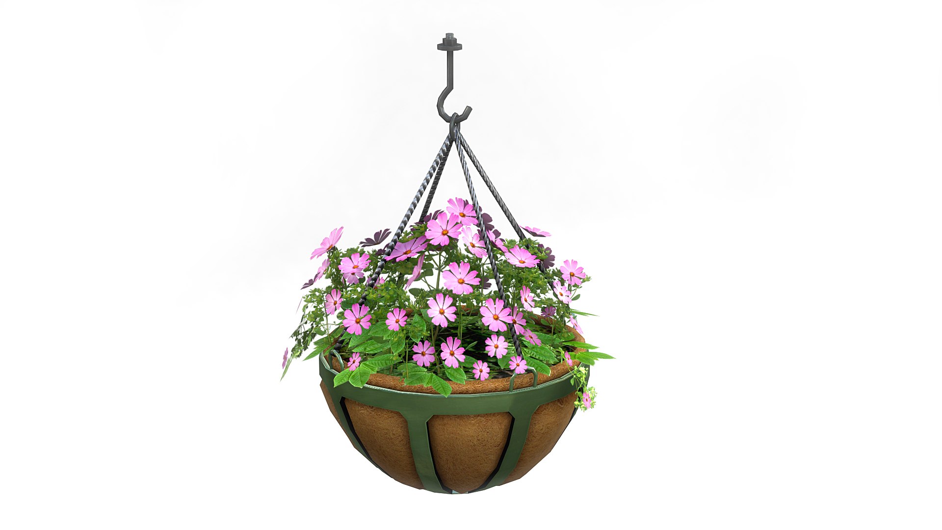 3D hanging potted plants model https://p.turbosquid.com/ts-thumb/5W/7LbSiQ/CvyYnjqb/hb1a_3/jpg/1605575859/1920x1080/fit_q87/ab7347779fd3076435bee940b69144c0304feba0/hb1a_3.jpg