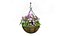 Hanging Basket Plants 1A