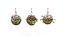 Hanging Basket Plants 1A