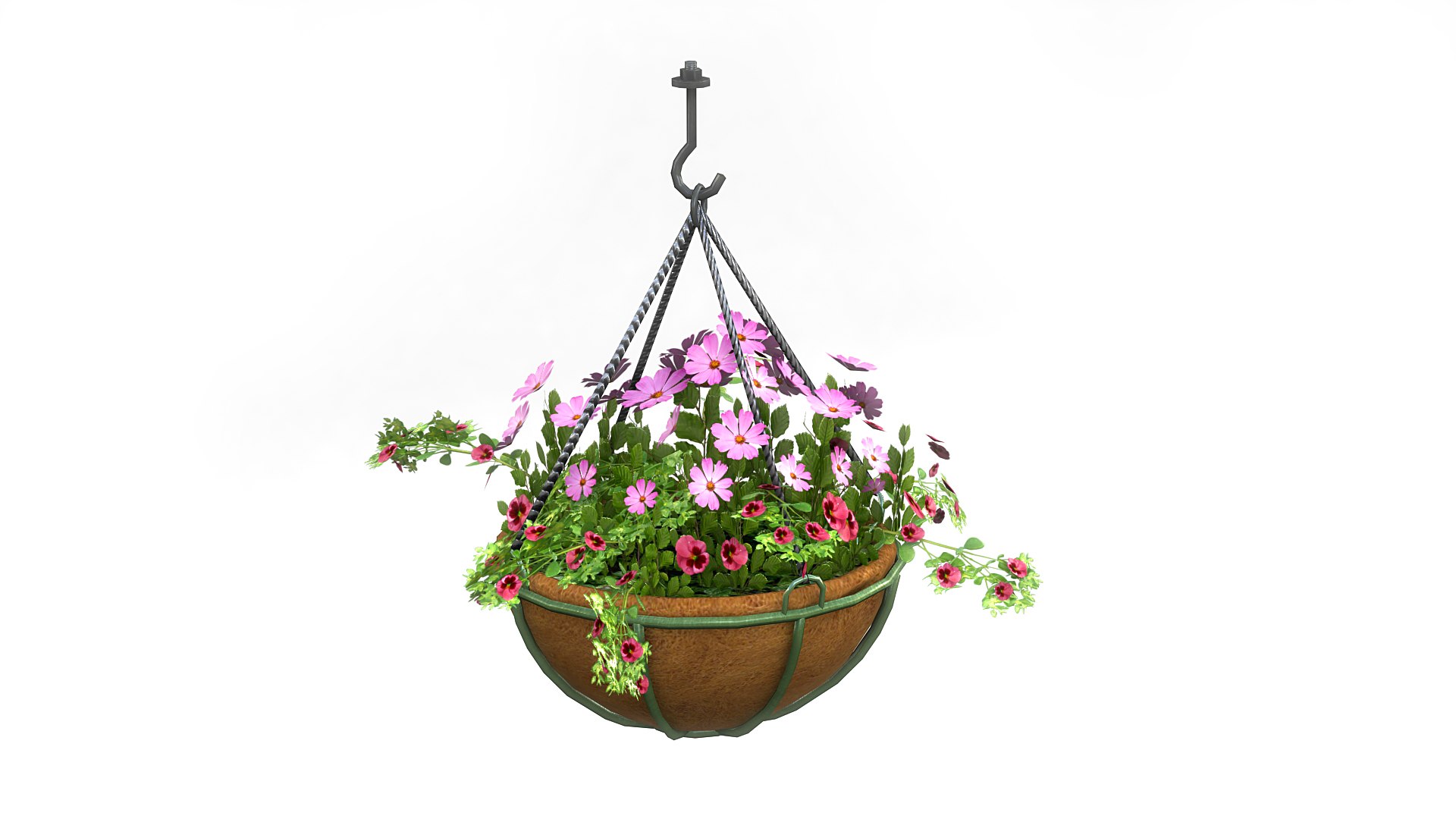 3D Hanging Potted Plants Model - TurboSquid 1650651