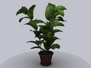pot tree 3ds