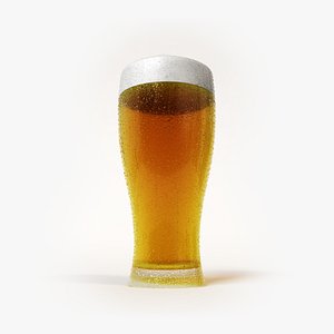 Pint of Beer
