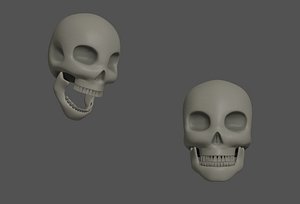 3D Skull