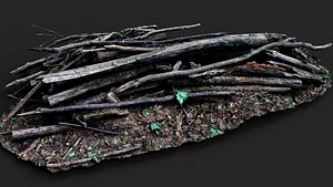 3D dry branches pile forest ground PBR photogrammetry