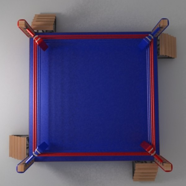 wrestling ring top view