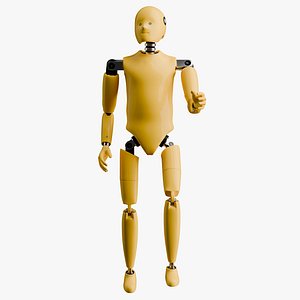 Rigged Crash Test Child Mannequin