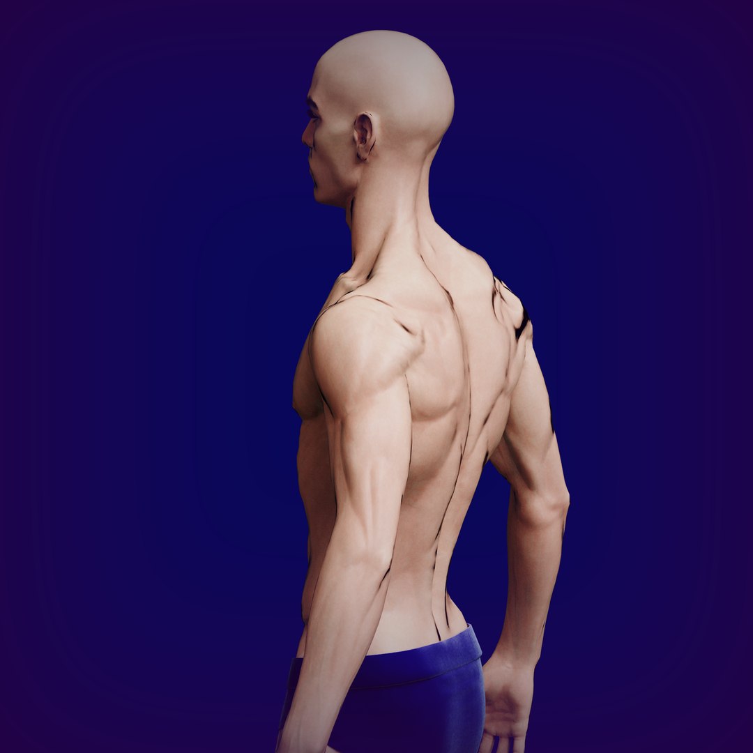 Slavic Male Low Poly 3D Model - TurboSquid 2404285