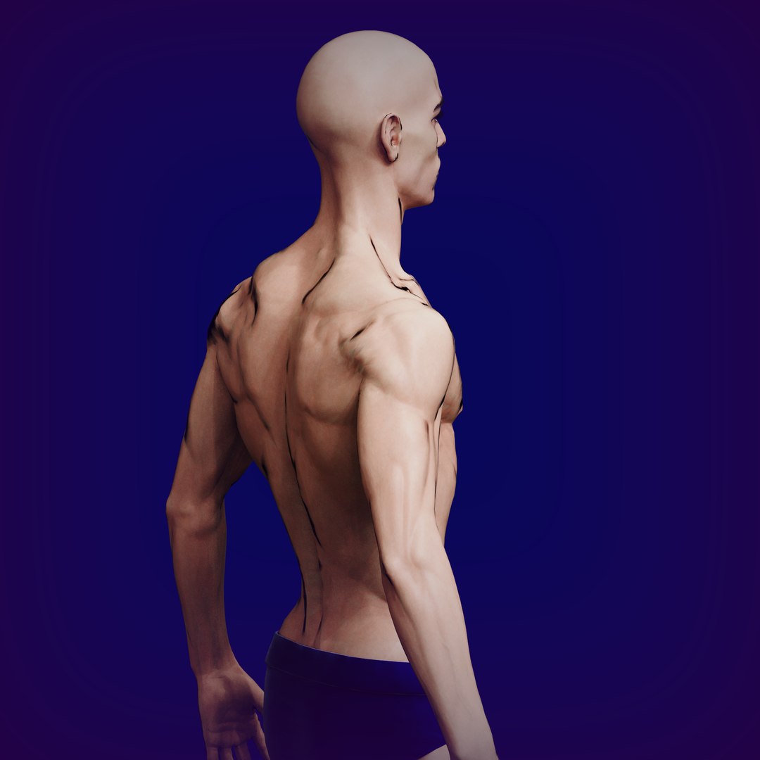 Slavic Male Low Poly 3D Model - TurboSquid 2404285