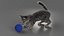 Set di pelliccia di gatto domestico a strisce grigie animato e riggato per Maya
