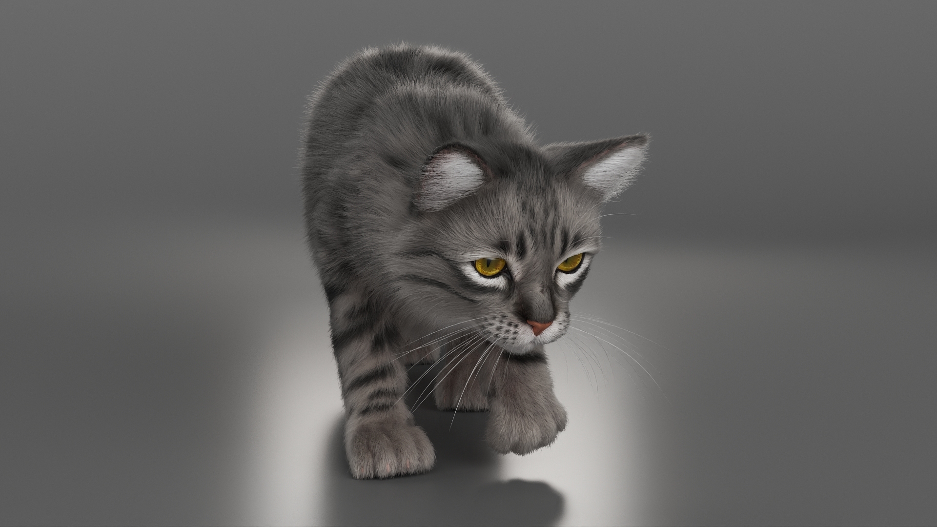 3D model Gray Striped House Cat Fur Set Animated Rigged For Maya https://p.turbosquid.com/ts-thumb/5X/JHo9ib/Fn/gray_striped_house_cat_fur_set_animated_rigged_for_maya_364/jpg/1787784309/1920x1080/turn_fit_q99/fcf1f880acd13843fb50d7bff78fbd04763c3ba0/gray_striped_house_cat_fur_set_animated_rigged_for_maya_364-1.jpg