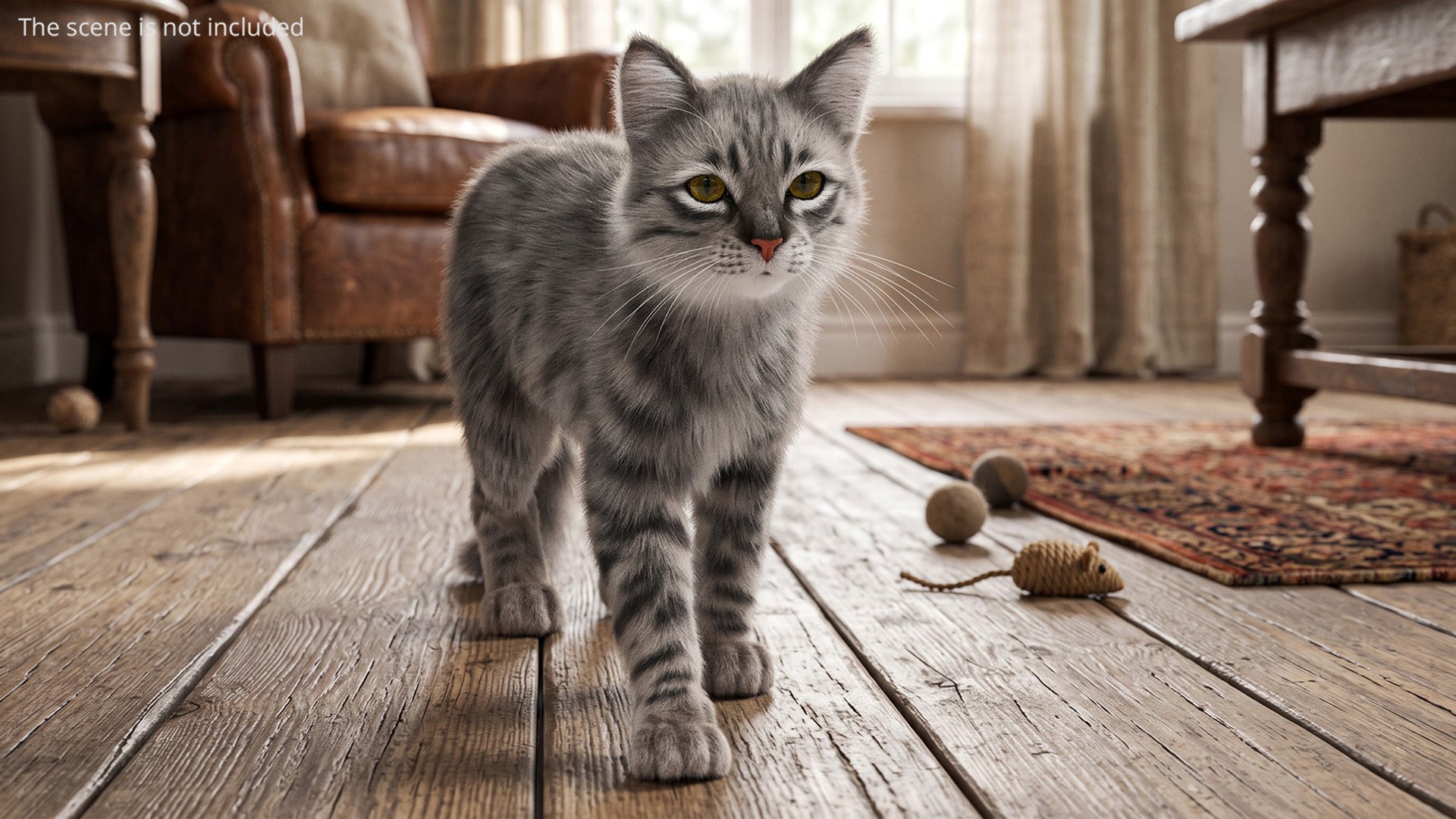 3D model Gray Striped House Cat Fur Set Animated Rigged For Maya https://p.turbosquid.com/ts-thumb/5X/JHo9ib/bq/gray_striped_house_cat_fur_set_animated_rigged_for_maya_003/jpg/1787784615/1920x1080/fit_q87/1ba5462834adb74fcaa1d7d64b9dd1e5a011f0de/gray_striped_house_cat_fur_set_animated_rigged_for_maya_003.jpg