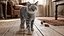 Set di pelliccia di gatto domestico a strisce grigie animato e riggato per Maya
