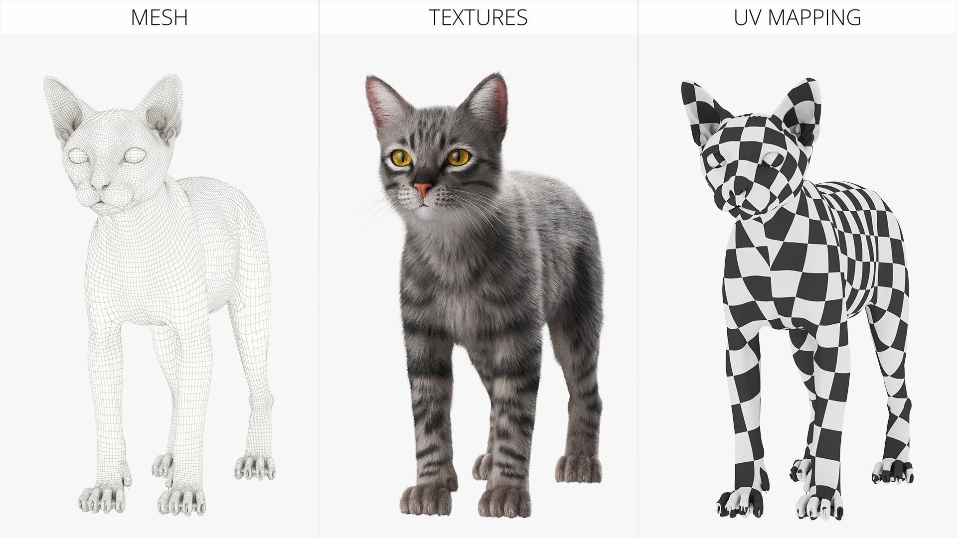 3D model Gray Striped House Cat Fur Set Animated Rigged For Maya https://p.turbosquid.com/ts-thumb/5X/JHo9ib/e9/gray_striped_house_cat_fur_set_animated_rigged_for_maya_022/jpg/1787784671/1920x1080/fit_q87/486af97b34468ff4ed63d21b9f0fdf3256d0edeb/gray_striped_house_cat_fur_set_animated_rigged_for_maya_022.jpg