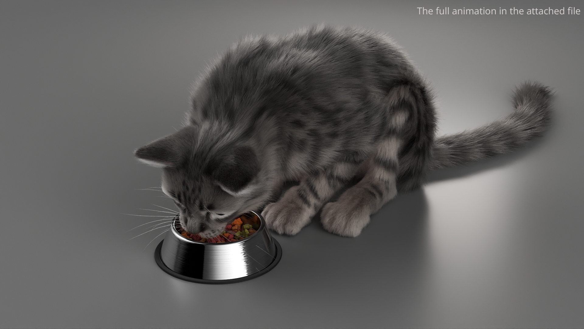 3D model Gray Striped House Cat Fur Set Animated Rigged For Maya https://p.turbosquid.com/ts-thumb/5X/JHo9ib/uf/gray_striped_house_cat_fur_set_animated_rigged_for_maya_363/jpg/1787784242/1920x1080/turn_fit_q99/cd07871d463f8546ddfe319394cdfb9f18018c18/gray_striped_house_cat_fur_set_animated_rigged_for_maya_363-1.jpg