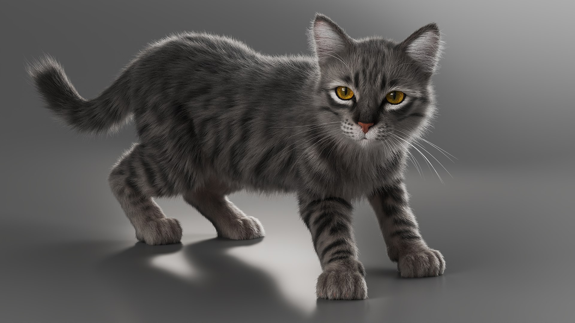 3D model Gray Striped House Cat Fur Set Animated Rigged For Maya https://p.turbosquid.com/ts-thumb/5X/JHo9ib/xU/gray_striped_house_cat_fur_set_animated_rigged_for_maya_011/jpg/1787784639/1920x1080/fit_q87/100c0d551a98272e9c0078eb73723875ddb6ca10/gray_striped_house_cat_fur_set_animated_rigged_for_maya_011.jpg