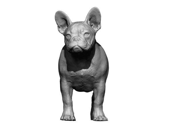 3D dog scanned photogrammetry model