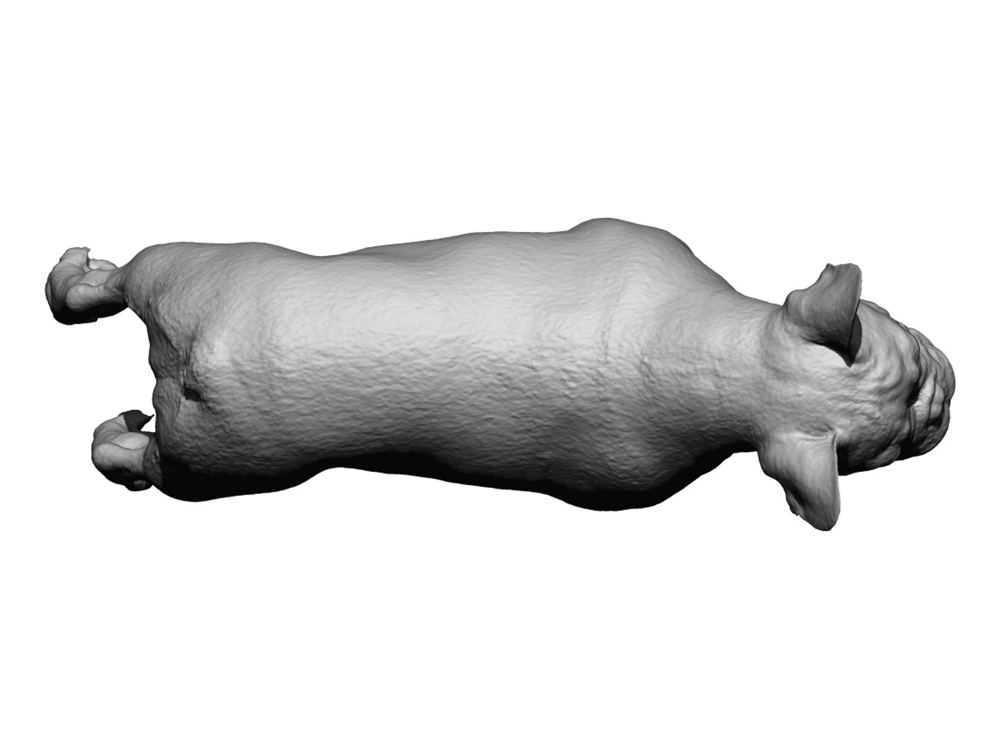 3D dog scanned photogrammetry model https://p.turbosquid.com/ts-thumb/5X/p5zSX9/hBPhXEvK/7/jpg/1542973336/1920x1080/fit_q87/2487ac647cc5e72a1f9822b25149615164291448/7.jpg