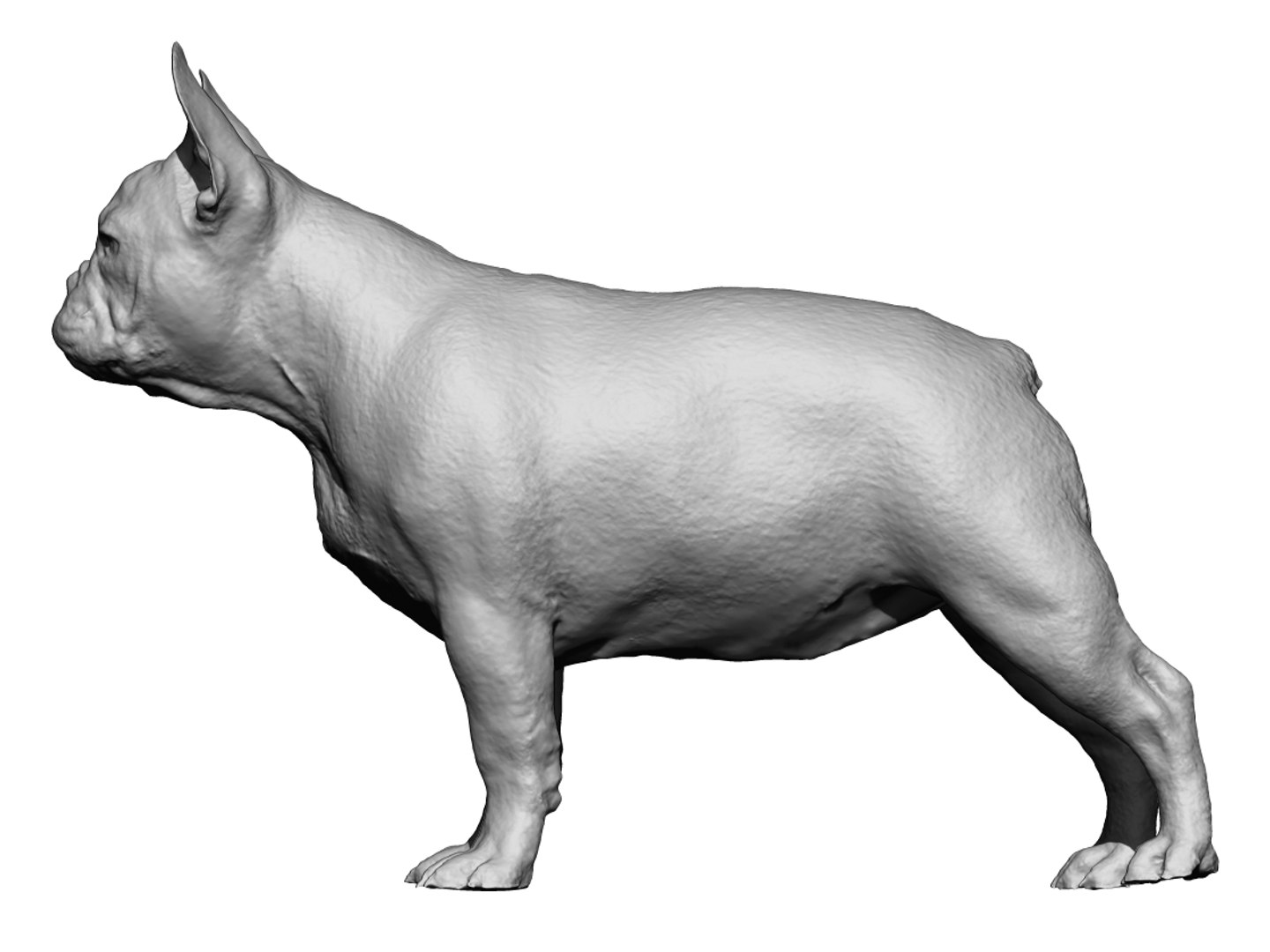3D dog scanned photogrammetry model https://p.turbosquid.com/ts-thumb/5X/p5zSX9/s1awigLr/2/jpg/1542973280/1920x1080/fit_q87/de4187683dd9f2272a6e4146a58d63a48dfb9c2f/2.jpg