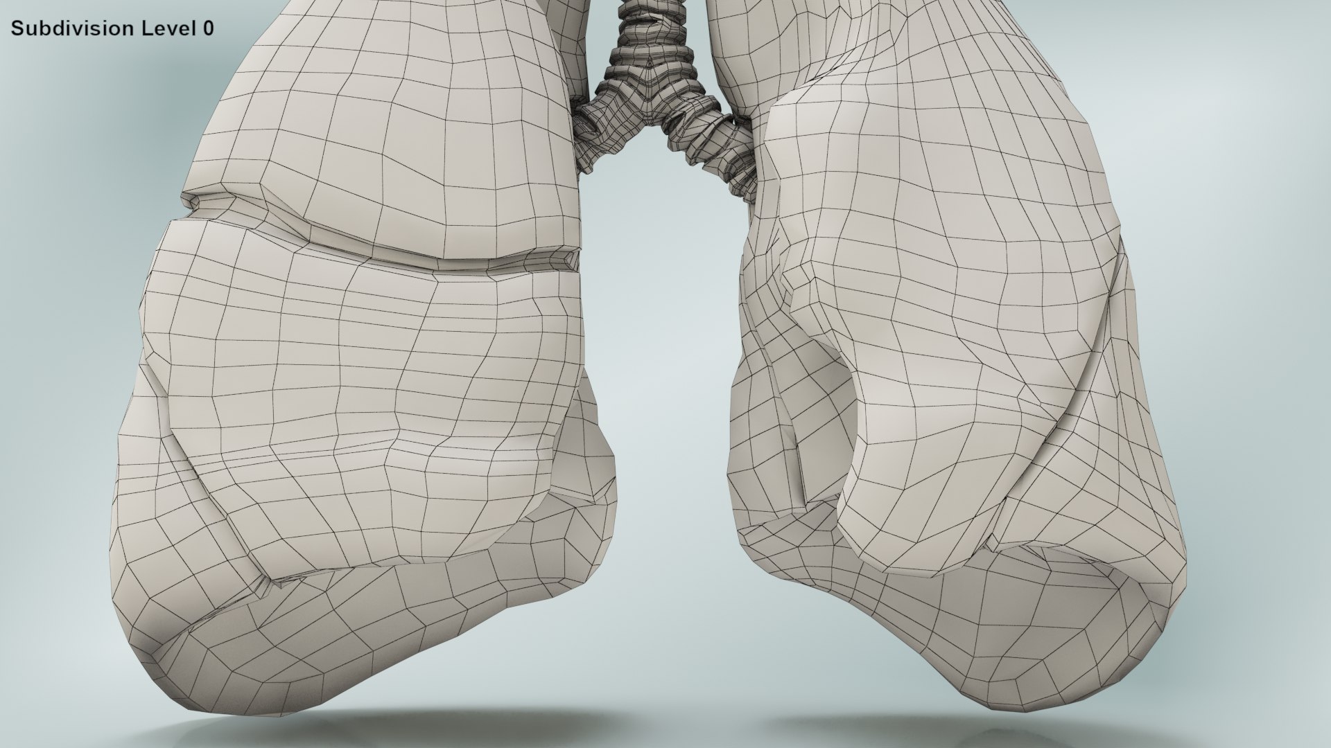 smoker s lungs 3D model https://p.turbosquid.com/ts-thumb/5X/qS326J/4uR7MKqL/wire0003/jpg/1607547828/1920x1080/fit_q87/38f749f84ec0fa7570d6174d8f5282714154c139/wire0003.jpg