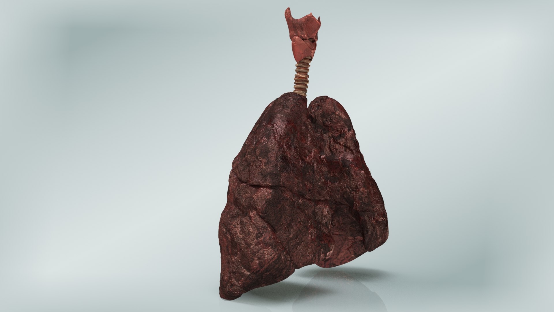 smoker s lungs 3D model https://p.turbosquid.com/ts-thumb/5X/qS326J/Eb1EIpZp/smokerlungs5/jpg/1607624400/1920x1080/fit_q87/bbb5e4896ba8970a74b6607c012a487218975500/smokerlungs5.jpg